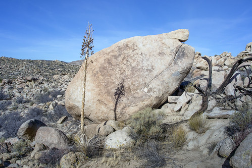 anzaborrego jacumba sandiegocounty california hiking outdoors boulder agave