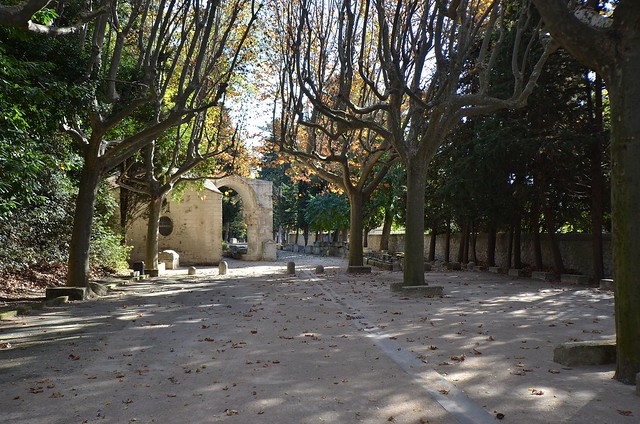 Arles (Bouches-du-Rhône) - Nécropole des Alyscamps - Allée des sarcophages