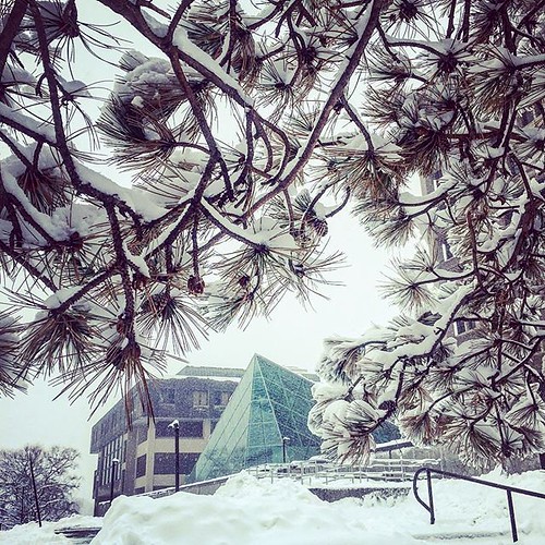 Just another beautiful snowy day on campus! #npsocial #newpaltz #npalumni #hudsonvalley #ispyny #iloveny