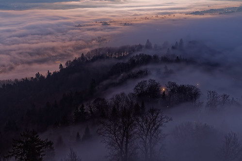 morning dawn bluehour sunrise uetliberg zurich switzerland fog cloud hills mountains trees sunlight