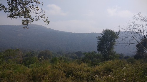 IMG_20180106_122320 by Anirudh2658, 