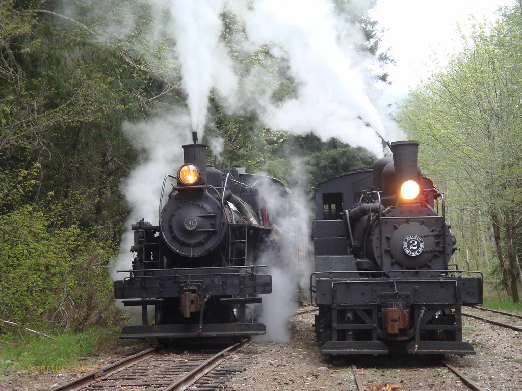 two narrow gauge steam locomotives