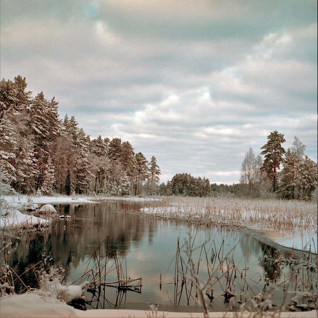 Winter in Gävleborg