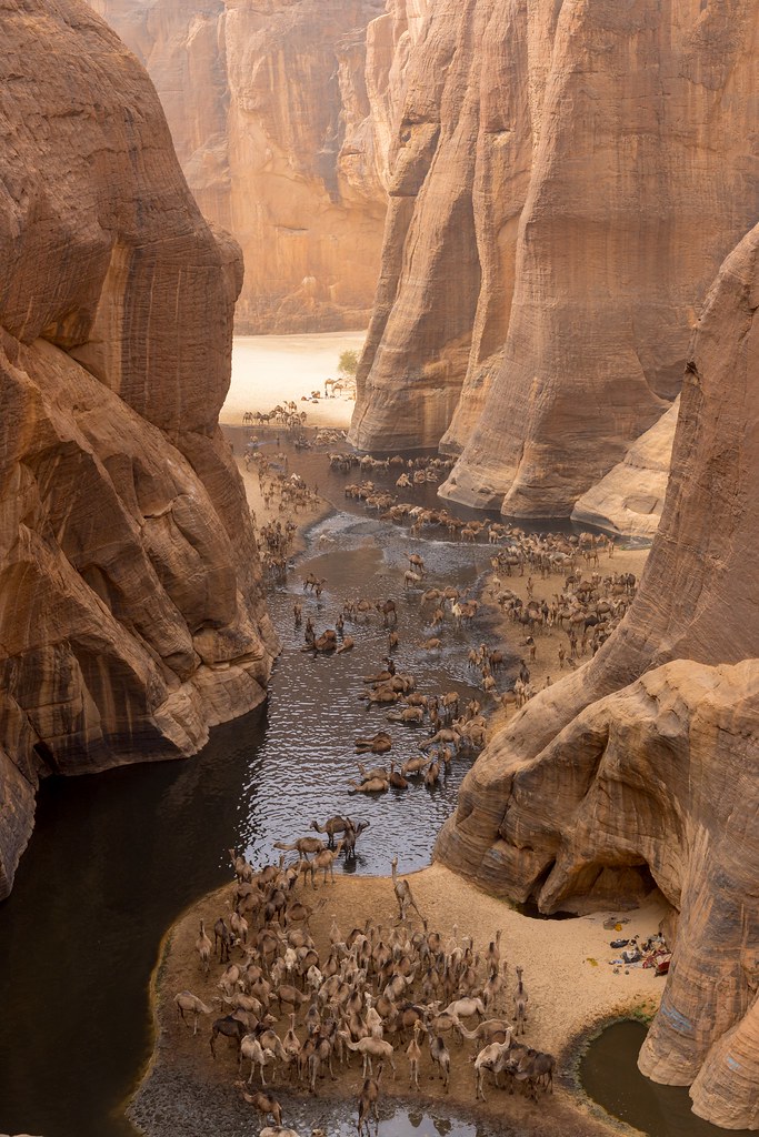Guelta d’Archeï, Chad