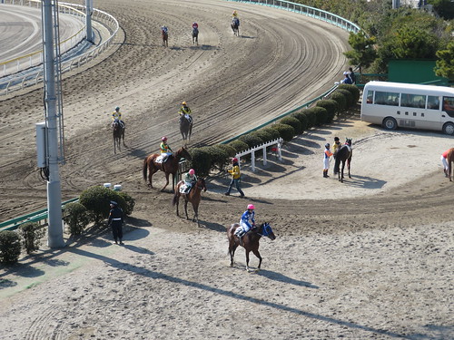 船橋競馬場のコースから枠場へ引き上げる馬