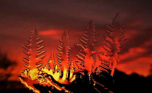 sunrise weather ice macro formations nature unusual