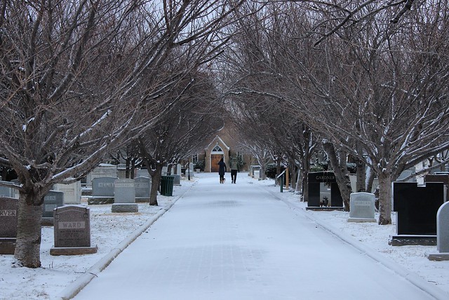 Congressional Cemetery this morning