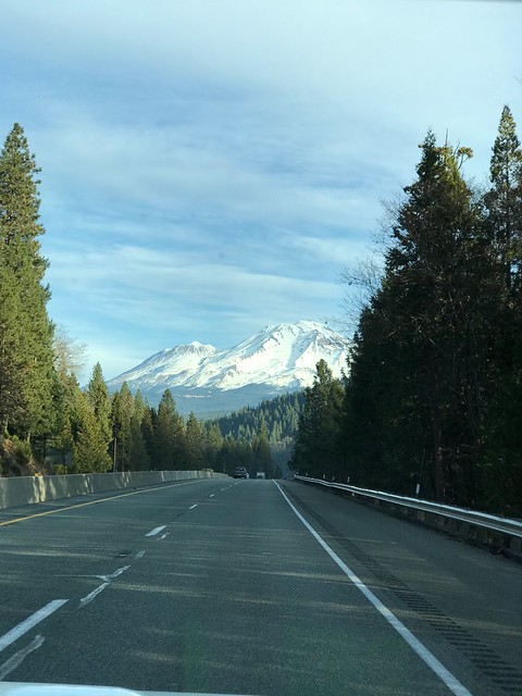 Traveler another view of Shasta