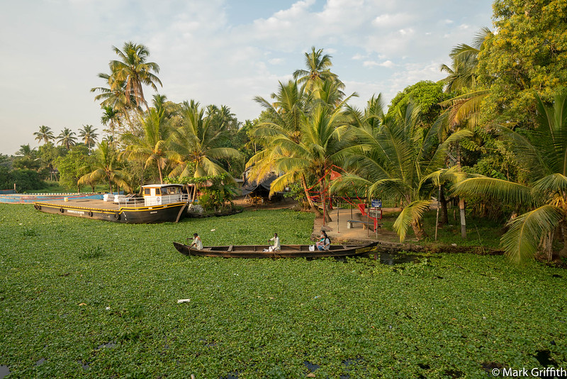 Kerala Front Lawn
