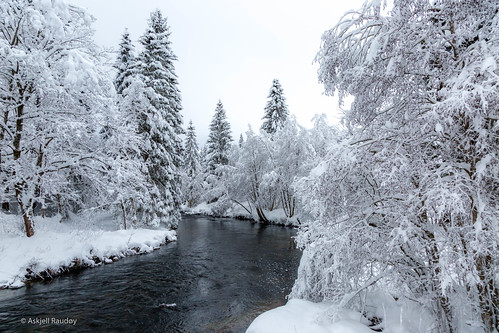 cold frozen ice leitebrua møreogromsdal norway scenery snow sunnmøre forest landscape river winter åmdal ørsta