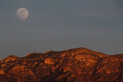 Full Moon over the Galiuro Mountains