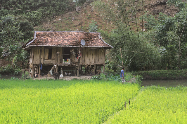 Traditional Vietnamese Home & Rice Paddy, Sơn La