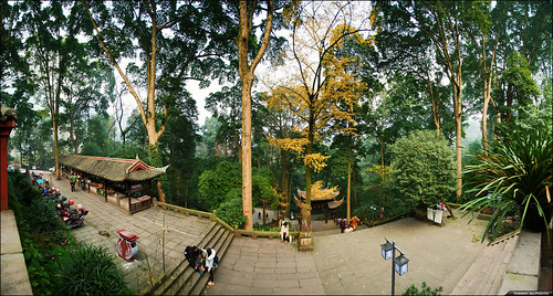 budeforest mountemei emeishan nature landscape outdoors trees panorama sichuanprovince china 布金林 峨嵋山 四川省 中國