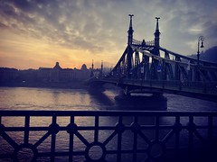 Liberty Bridge, Budapest