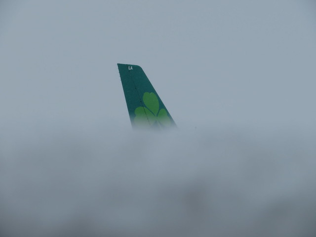 EI-ELA Airbus A330 Aer Lingus among the clouds