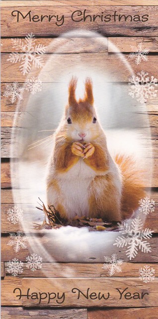 Squirrel Christmas card from France