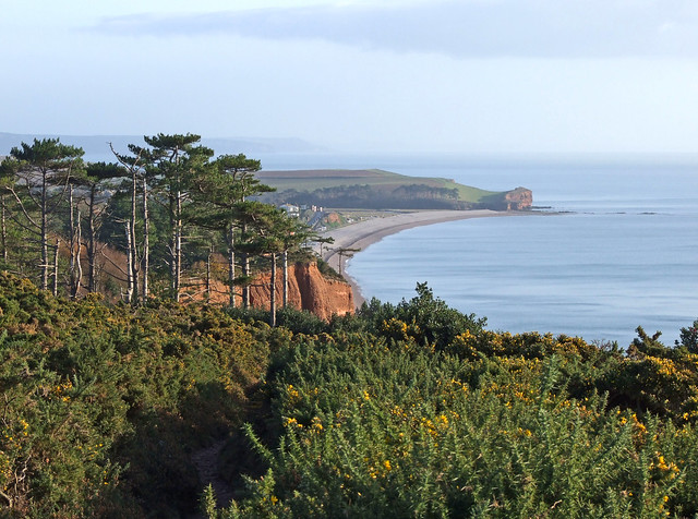 Budleigh Salterton from West Down
