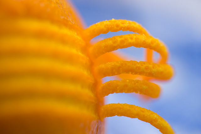 Orange curl