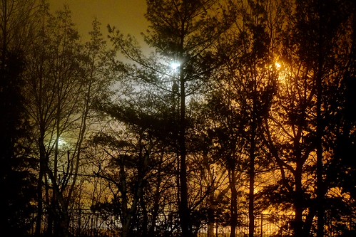 War of the Worlds | by Bo Dudas