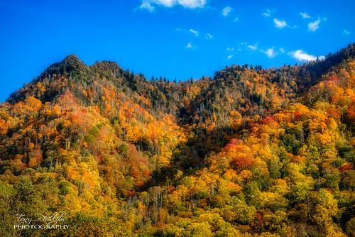 chimneytops greatsmokymountainsnationalpark tennessee autumn autumncolor bluesky fall fallcolor landscape landscapephotography mountainview mountains nature naturephotography nikon nikonphotography outdoorphotography outdoors scenery secenicview