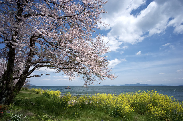 Lake Biwa 6