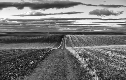 horizon landscape nature clouds cloudscape outdoors paths agriculture bnw blackandwhite