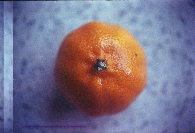Kodak Retina Reflex 025 with Carl Zeiss Flektogon held against it - Extreme DOF - Orange Study
