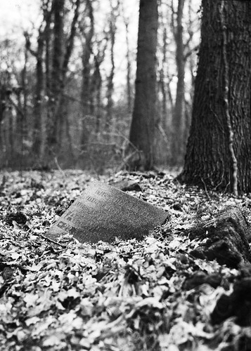 nils volkmer large format kw patent etui 9x12 view analogue film camera plate dof bokeh grave nature revenge old wood forest