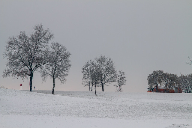 Winter in Ebersberg, Munich