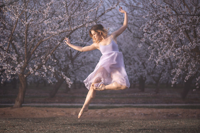 Dancers in the Blossoms