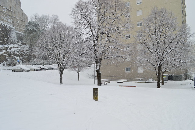 Jardins de la Grand Rue sous la neige