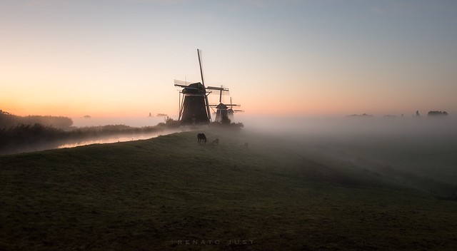 Three in a row #windmill #netherlands #mist #atmospheric #winter #sunrise