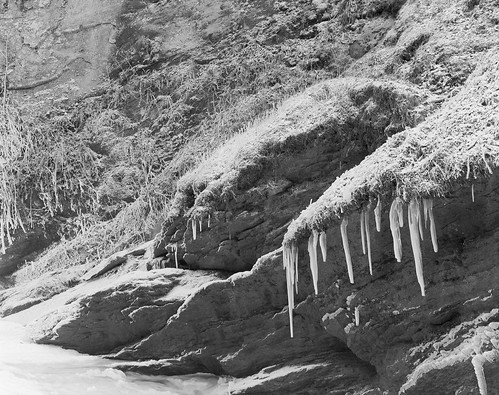 pisgahnationalforest westernnorthcarolina ice bw largeformat film ilford fp4 ddx arcaswiss fline 4x5 nikkorm300mm19 epsonv700 affinityphoto