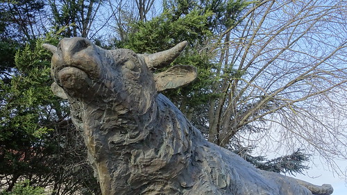 Charolais made in Stuttgart by PhilippeF, 
