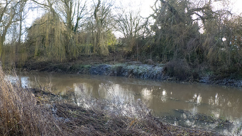 River Sow, Stafford, frosty morning