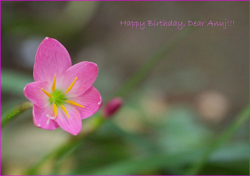 Happy Birthday...!!! | by I Nair