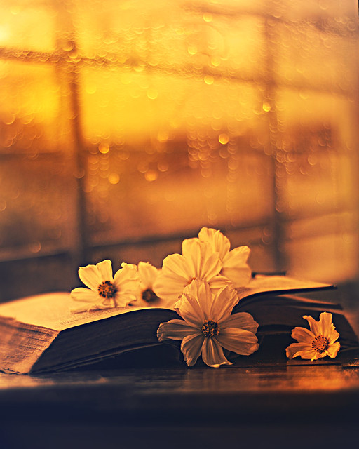 Books and Flowers !