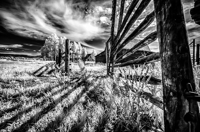 lines and shadows - infrared