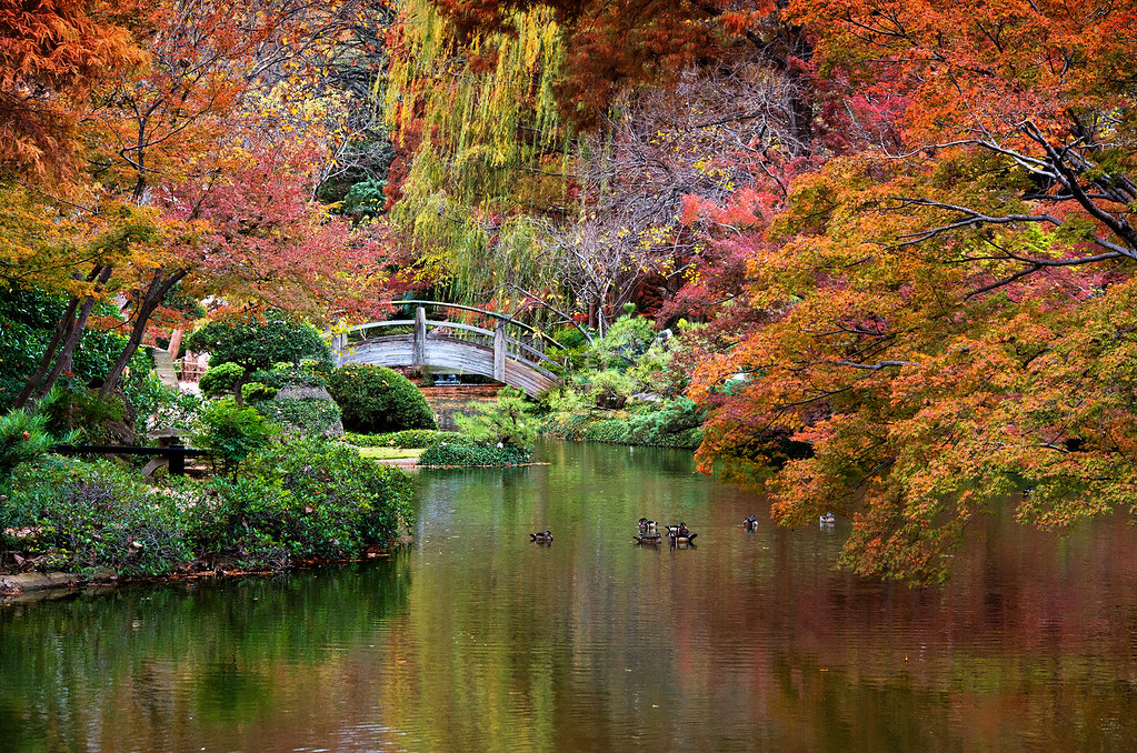 Fort Worth Japanese Garden Justin Terveen Flickr