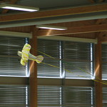 Fliegen in Rosshäusern Indoor