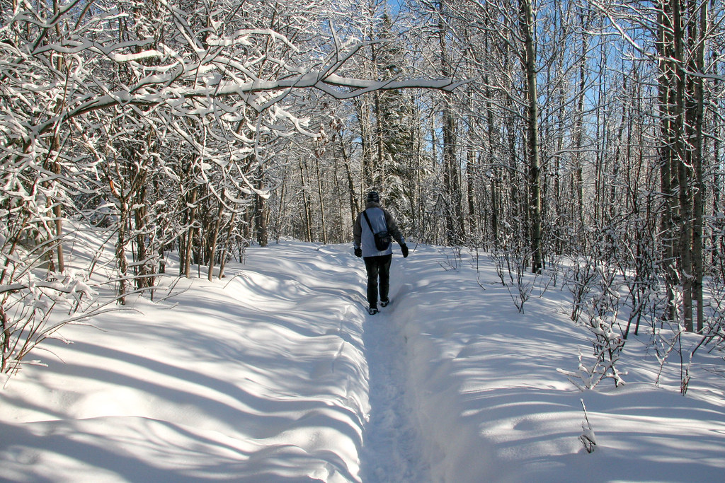 Young's Point PP - Bear Creek Walker in Winter