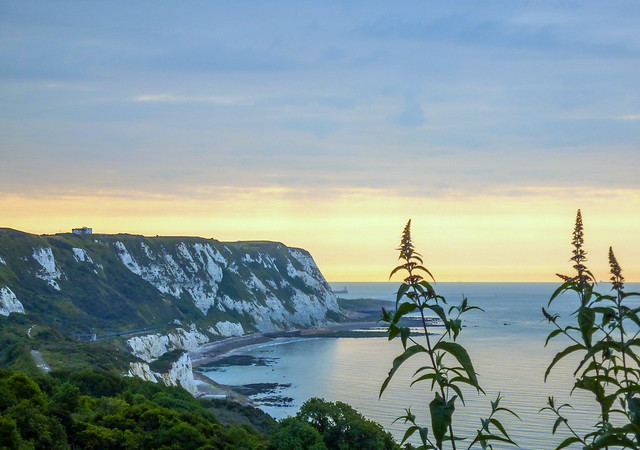 White cliffs of Dover seen from Folkestone