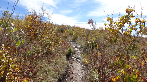 appalachiantrail virginia vagraysoncounty landscape trail hiking chfstew