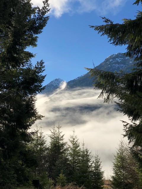 Buttle Lake - more mountains