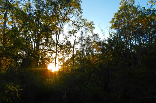 western australia margaret river island brook estate landscape dana iwachow nikon coolpix s9200 summer 2018 sun sunset bush
