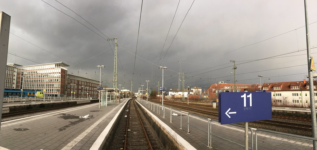 Platform 11