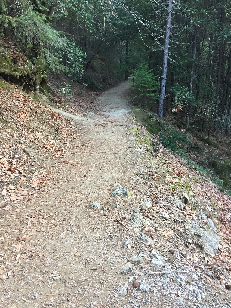 Lower Brandy Creek Trail