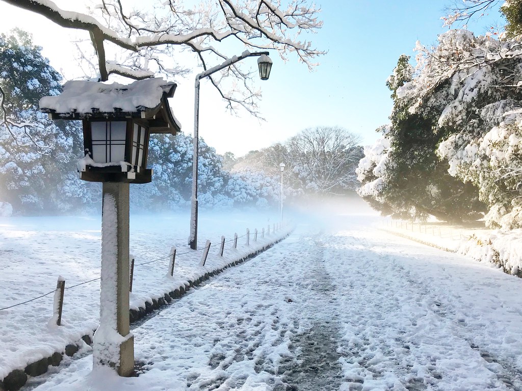 Tokyo Snow
