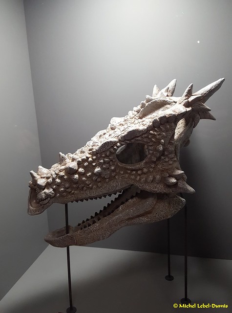 Dragonland - Hogwartsia(dinosaure herbivore)