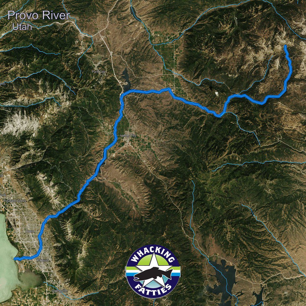 Provo River, Utah Provo River, Utah Fly Fishing Report